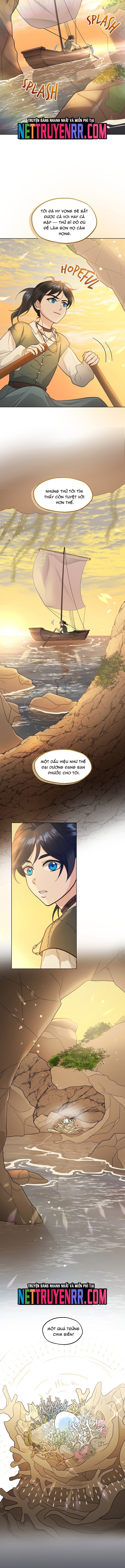 Hải Âu & Sói Hoang: Chapter 31