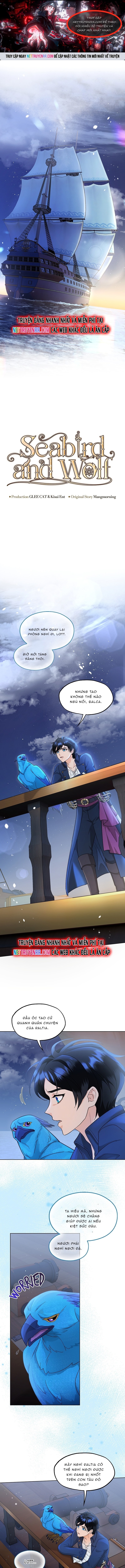 Hải Âu & Sói Hoang: Chapter 33