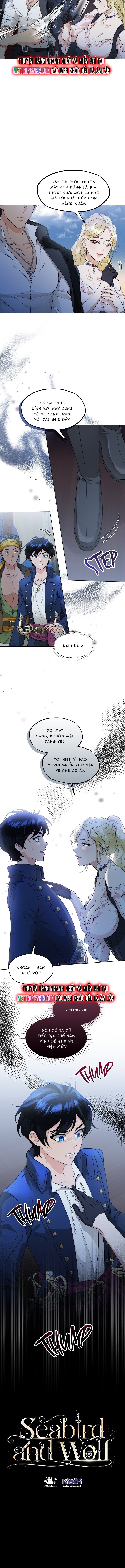 Hải Âu & Sói Hoang: Chapter 34