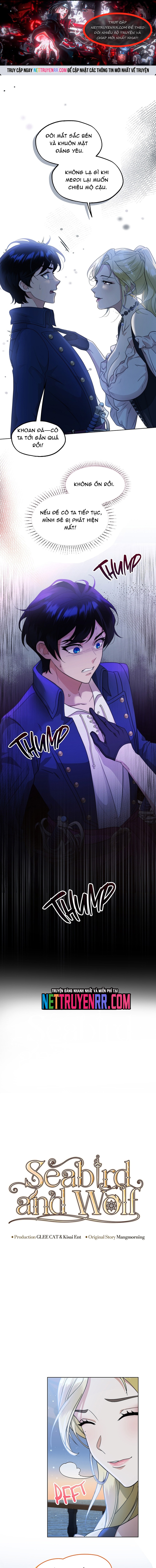 Hải Âu & Sói Hoang: Chapter 35