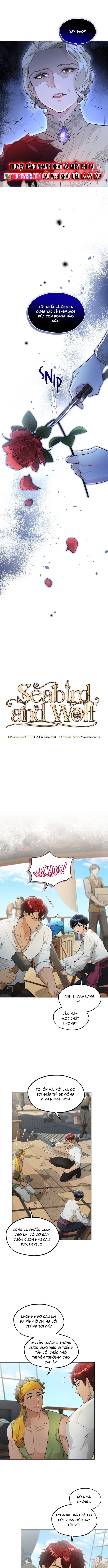Hải Âu & Sói Hoang: Chapter 36