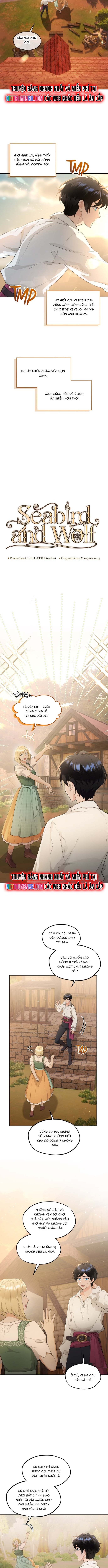 Hải Âu & Sói Hoang: Chapter 38