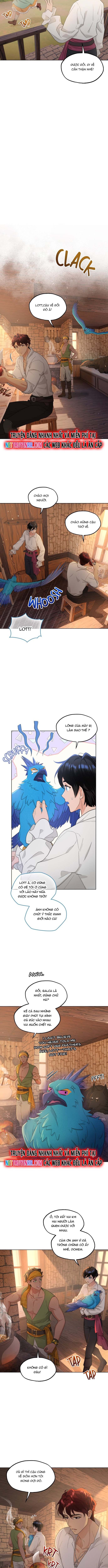 Hải Âu & Sói Hoang: Chapter 38