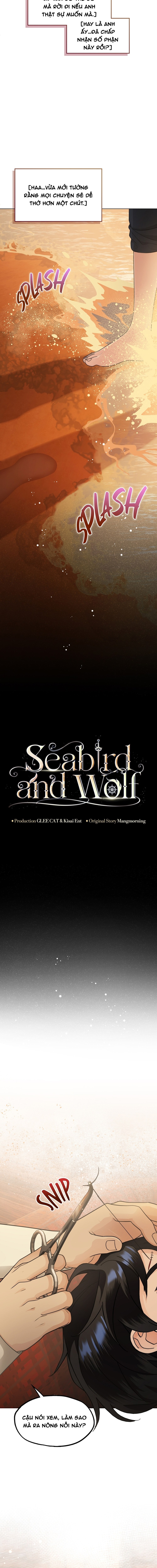 Hải Âu & Sói Hoang: Chapter 39