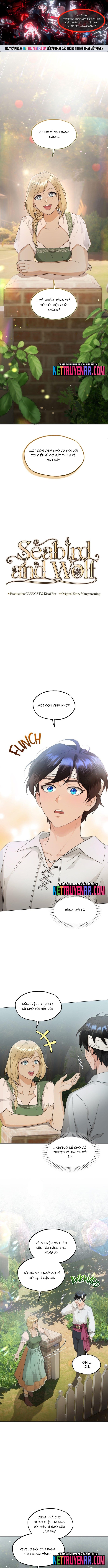 Hải Âu & Sói Hoang: Chapter 40