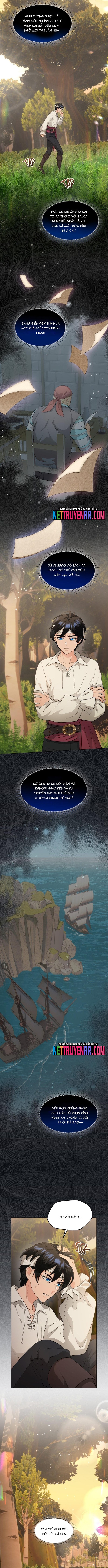 Hải Âu & Sói Hoang: Chapter 40