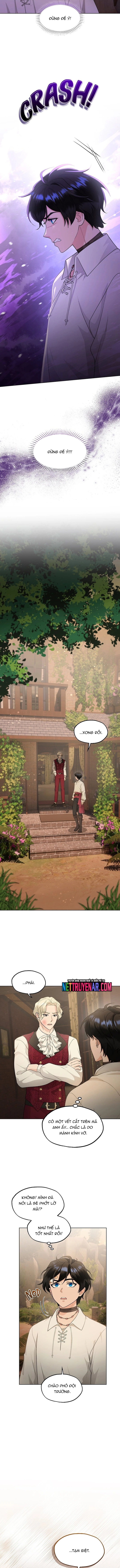 Hải Âu & Sói Hoang: Chapter 42