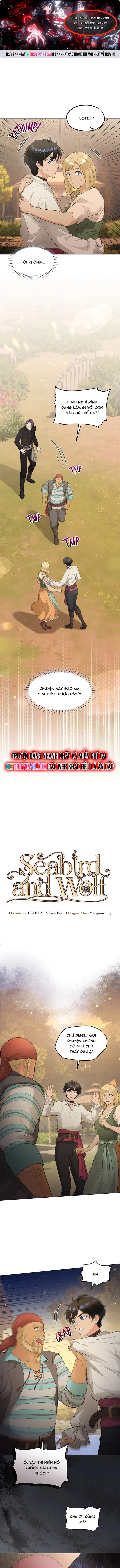 Hải Âu & Sói Hoang: Chapter 44