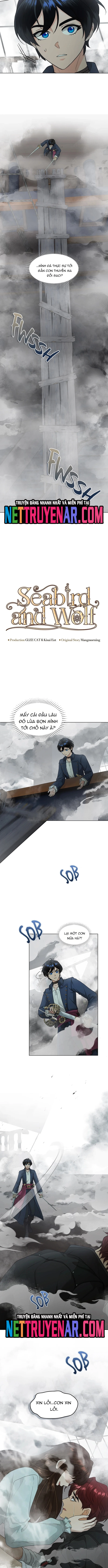 Hải Âu & Sói Hoang: Chapter 47