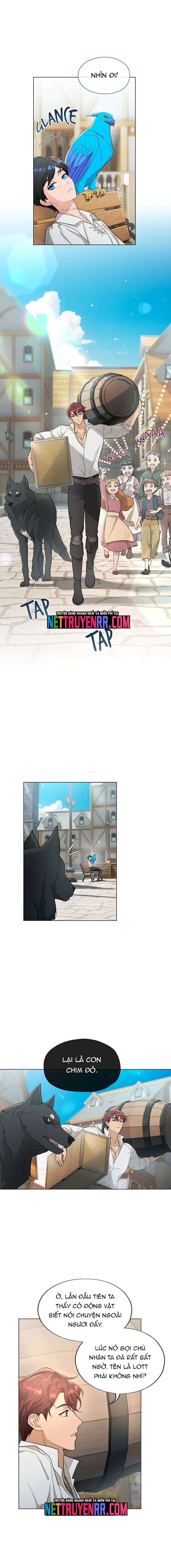 Hải Âu & Sói Hoang: Chapter 5