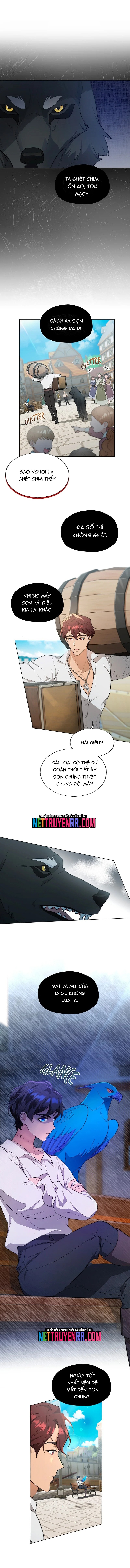 Hải Âu & Sói Hoang: Chapter 5