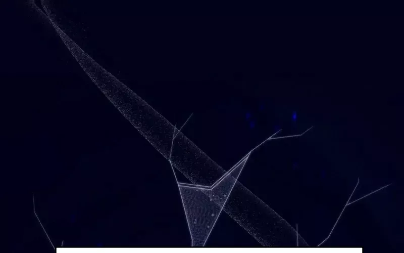 Hầm Ngục Mạnh Nhất: Chapter 2