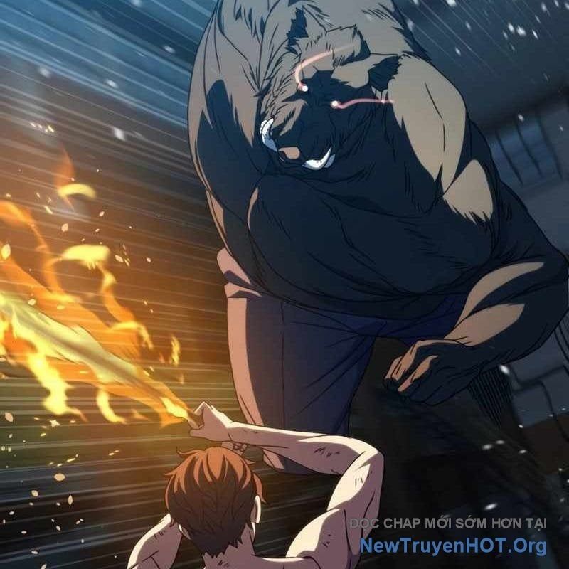 Hàn Băng Võ Giả: Chapter 29