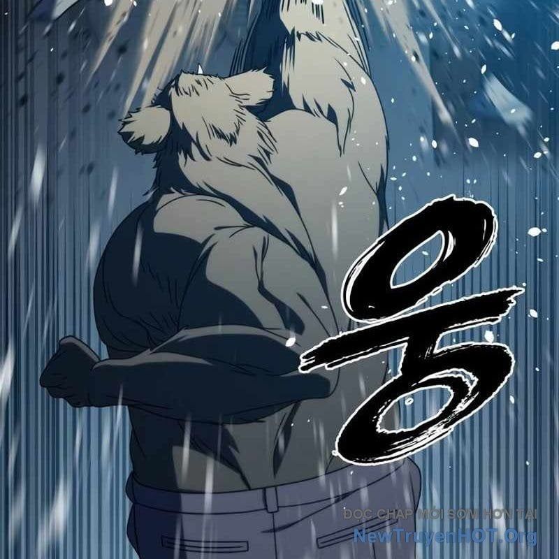 Hàn Băng Võ Giả: Chapter 29