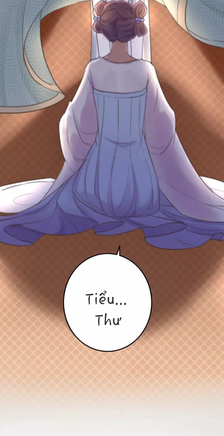 Hành Trình Huy Hoàng: Chapter 4