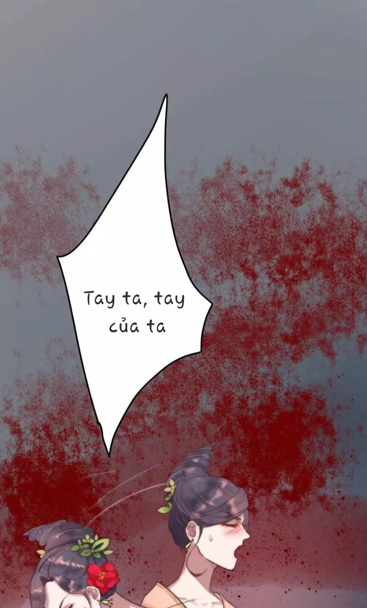 Hành Trình Huy Hoàng: Chapter 4