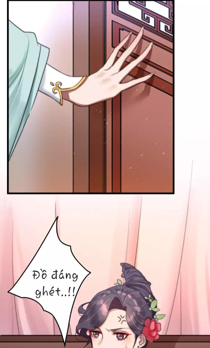 Hành Trình Huy Hoàng: Chapter 5