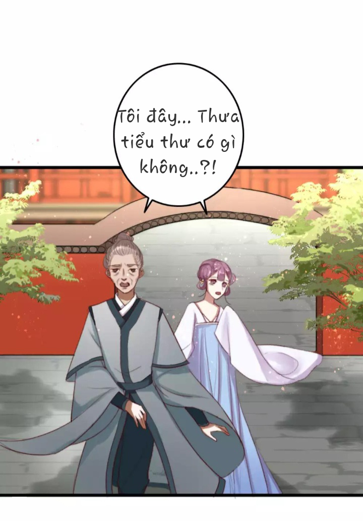 Hành Trình Huy Hoàng: Chapter 5