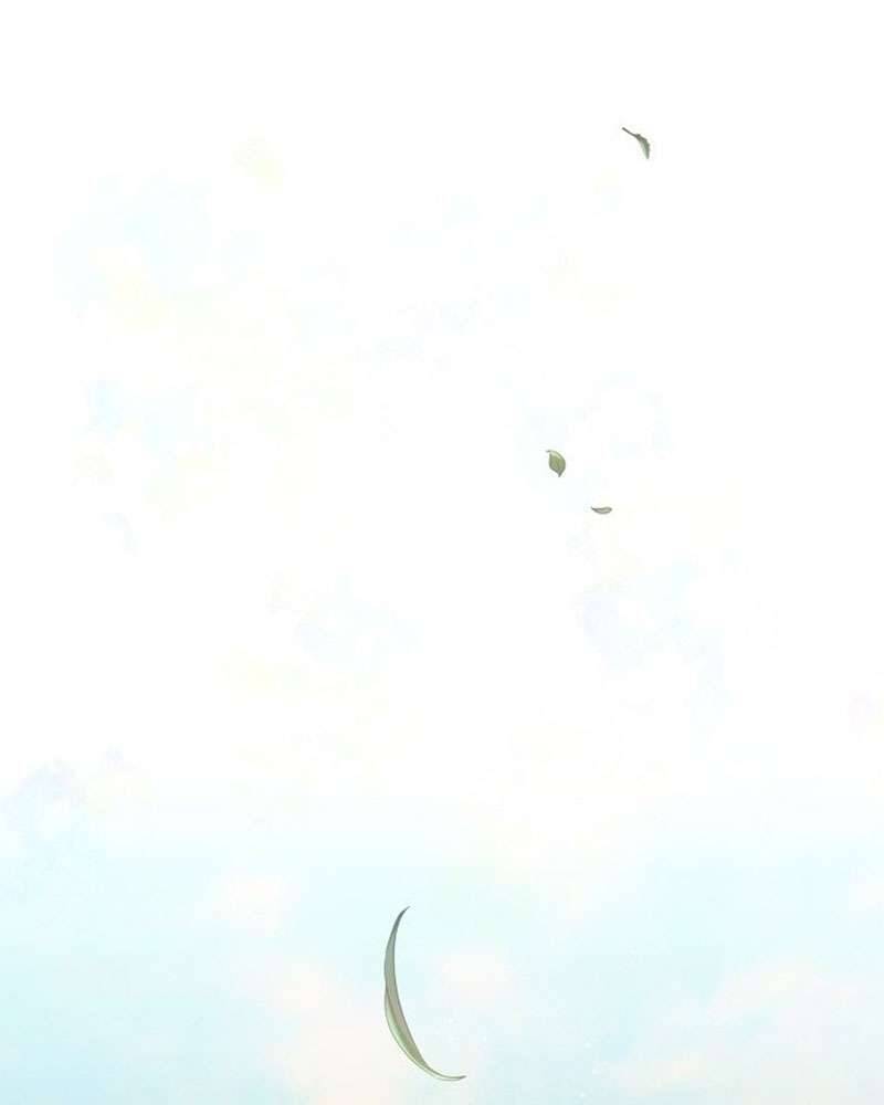 Hầu Nữ Bí Mật Của Bá Tước: Chapter 1