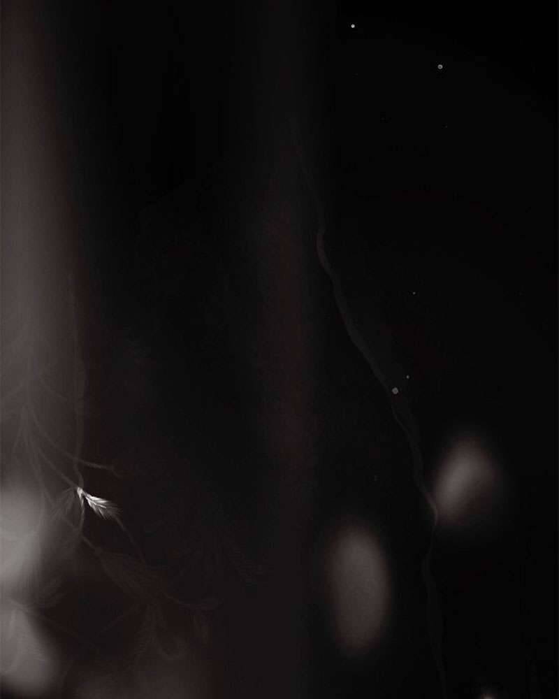 Hầu Nữ Bí Mật Của Bá Tước: Chapter 1