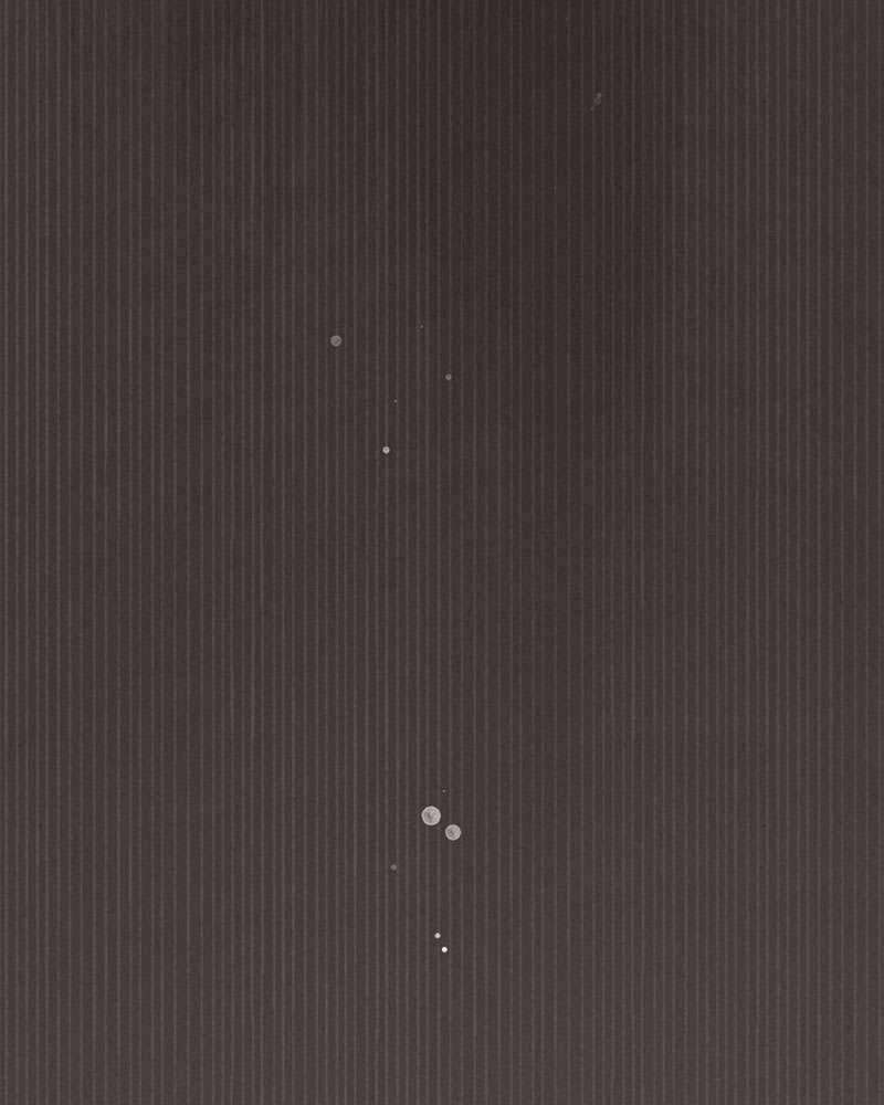 Hầu Nữ Bí Mật Của Bá Tước: Chapter 1