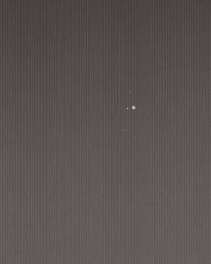 Hầu Nữ Bí Mật Của Bá Tước: Chapter 1