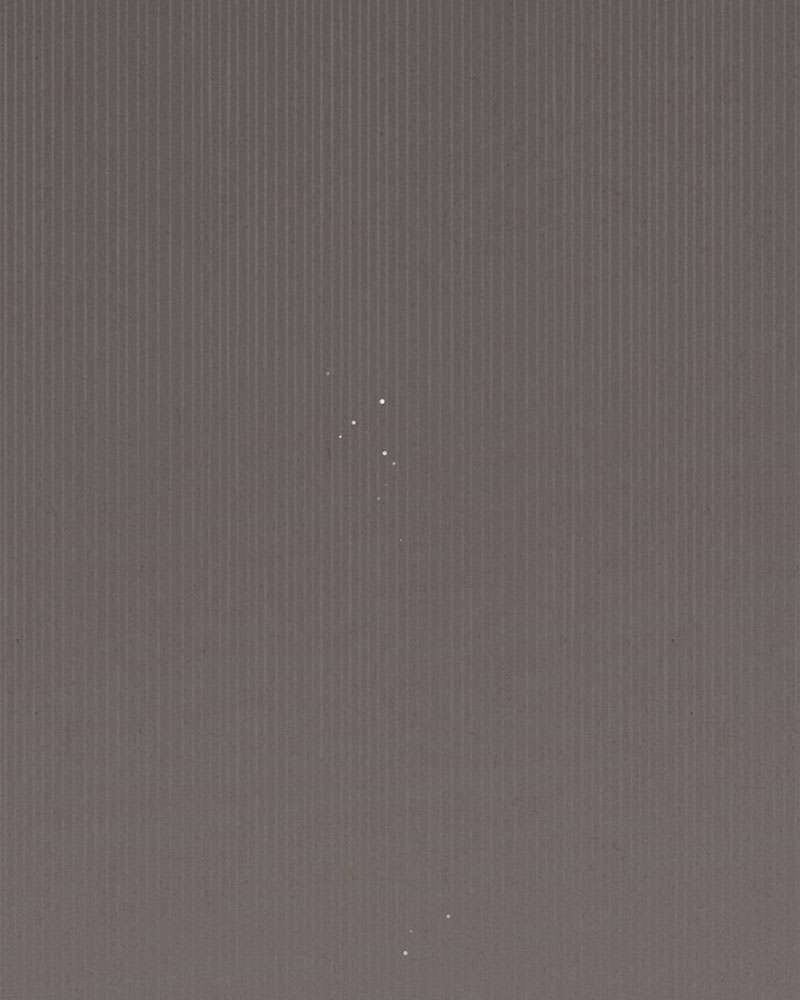 Hầu Nữ Bí Mật Của Bá Tước: Chapter 1