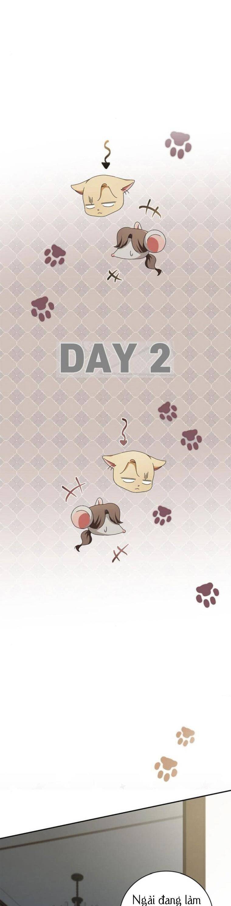 Hầu Nữ Bí Mật Của Bá Tước: Chapter 12