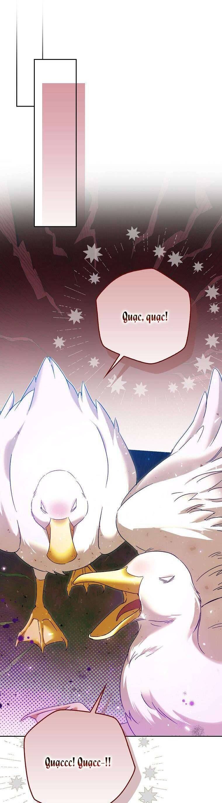 Hầu Tước Marron: Chapter 11