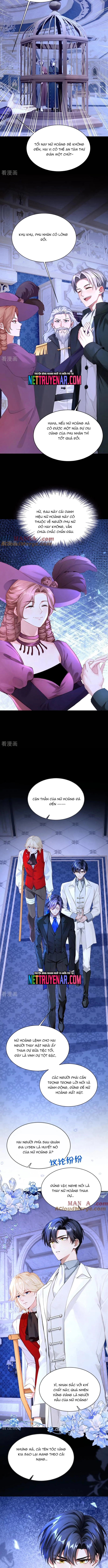 Hệ Thống Xuyên Nhanh: Ác Nam Không Dễ Chọc: Chapter 165