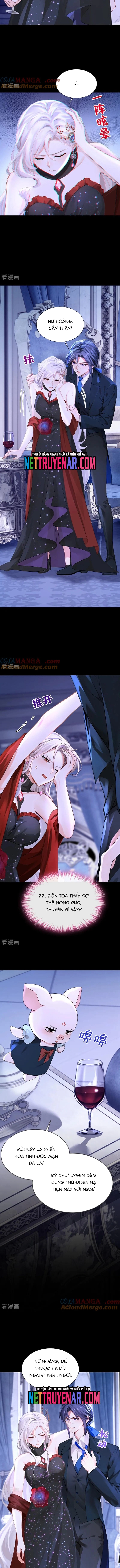 Hệ Thống Xuyên Nhanh: Ác Nam Không Dễ Chọc: Chapter 168