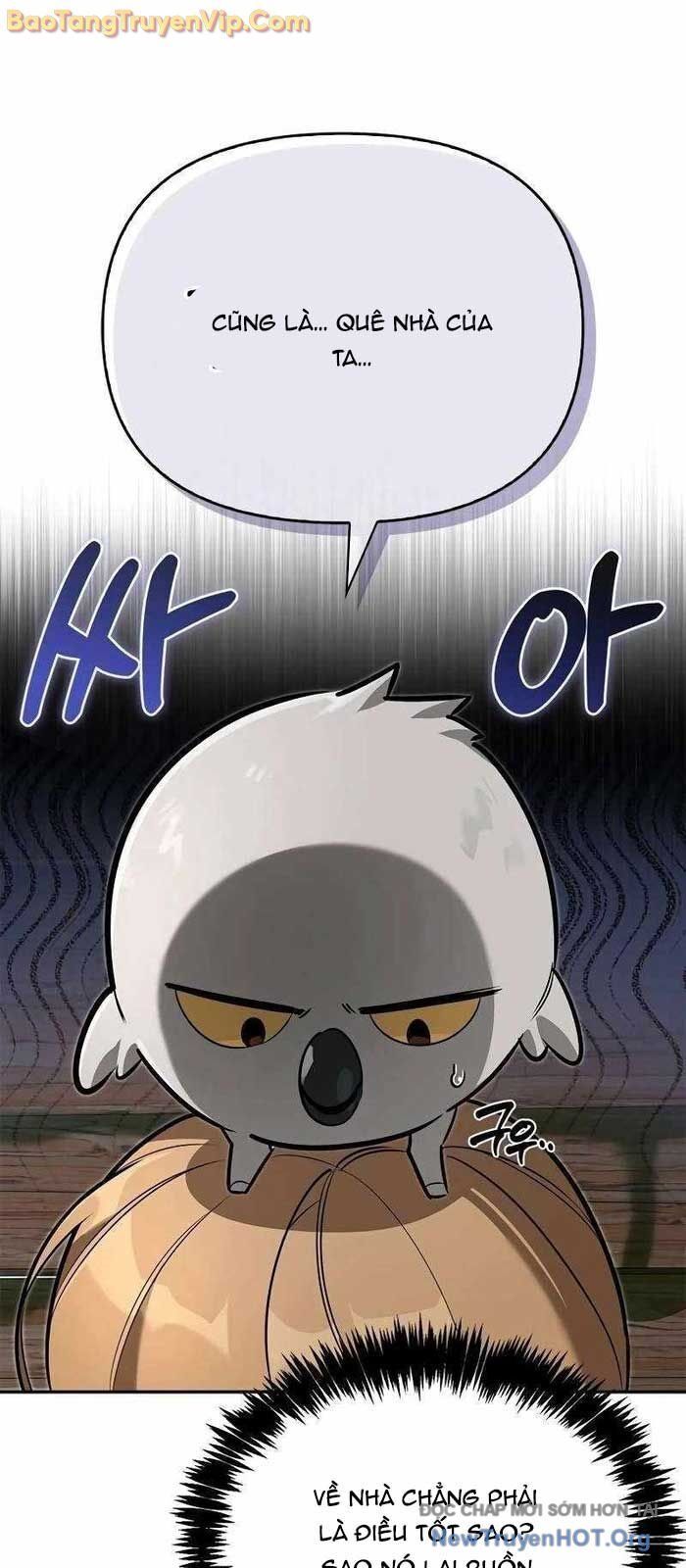 Healer Cấp S Chữa Trị Cho Quái Vật: Chapter 8