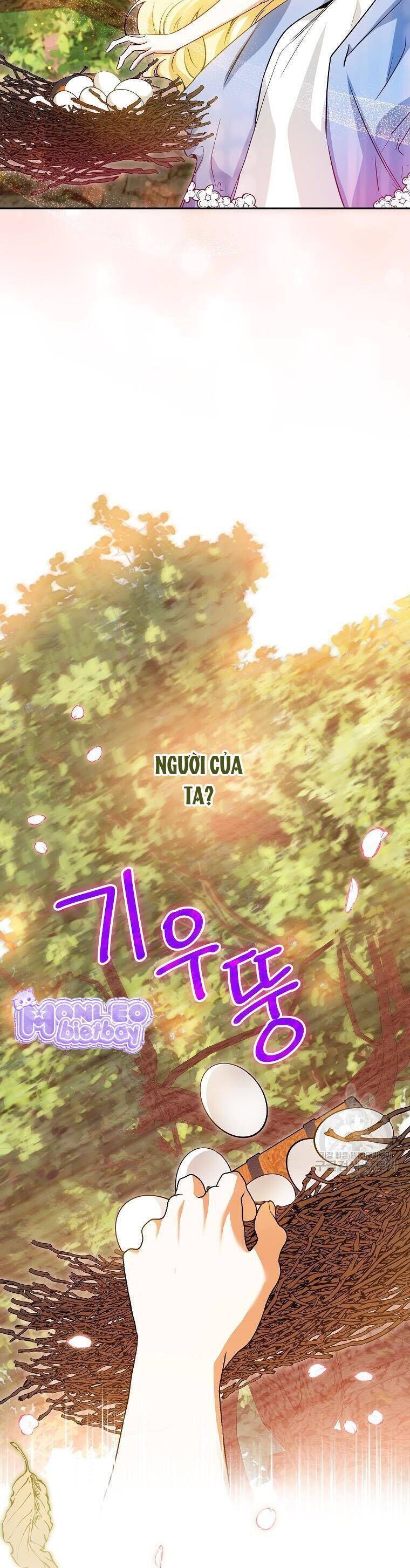 Hình Như Tôi Đã Xuyên Vào Cuốn Tiểu Thuyết Nào Đó: Chapter 31