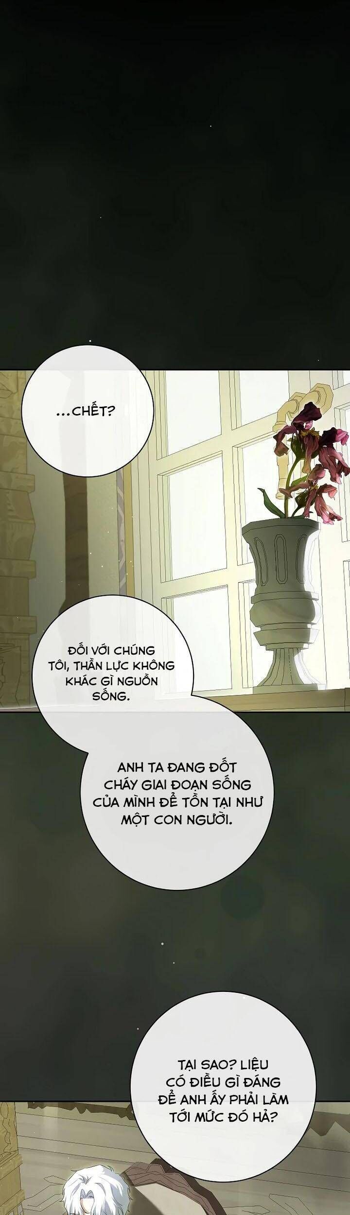 Hình Như Tôi Đã Xuyên Vào Cuốn Tiểu Thuyết Nào Đó: Chapter 64