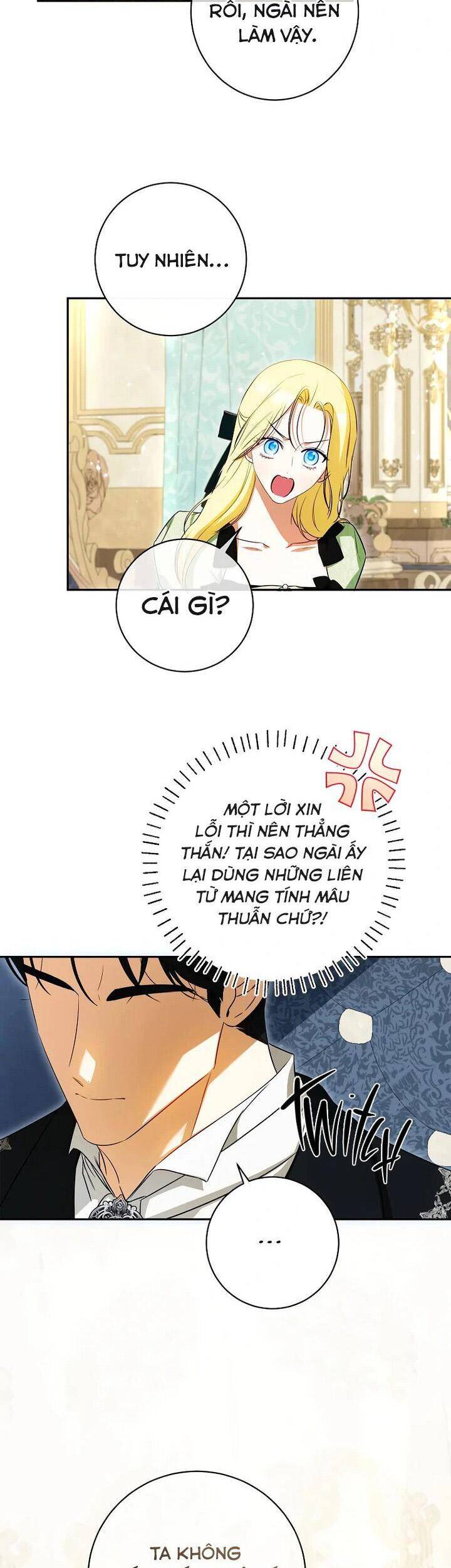 Hình Như Tôi Đã Xuyên Vào Cuốn Tiểu Thuyết Nào Đó: Chapter 65