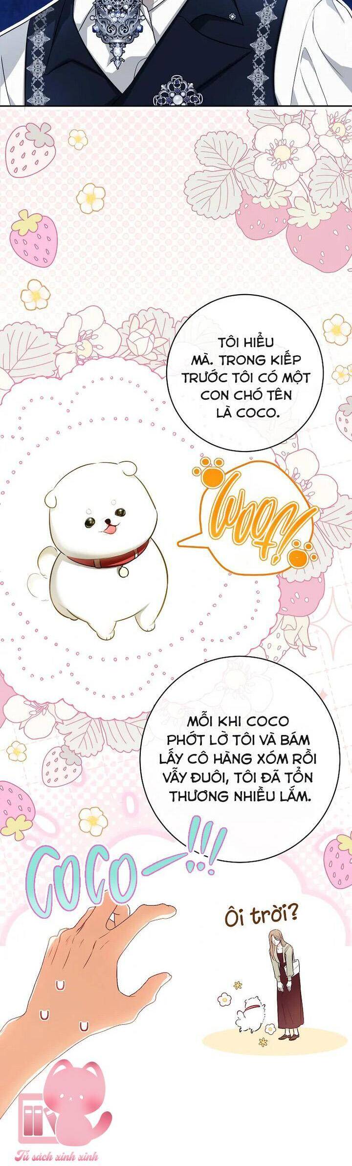 Hình Như Tôi Đã Xuyên Vào Cuốn Tiểu Thuyết Nào Đó: Chapter 65