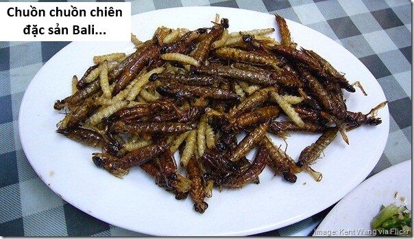 Hổ Đến Chơi Nhà (Puchimasu Miếu): Chapter 118