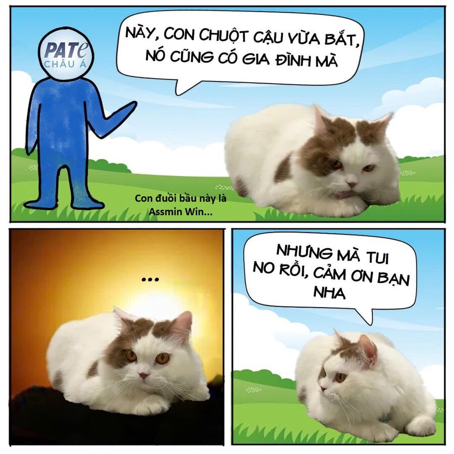 Hổ Đến Chơi Nhà (Puchimasu Miếu): Chapter 118