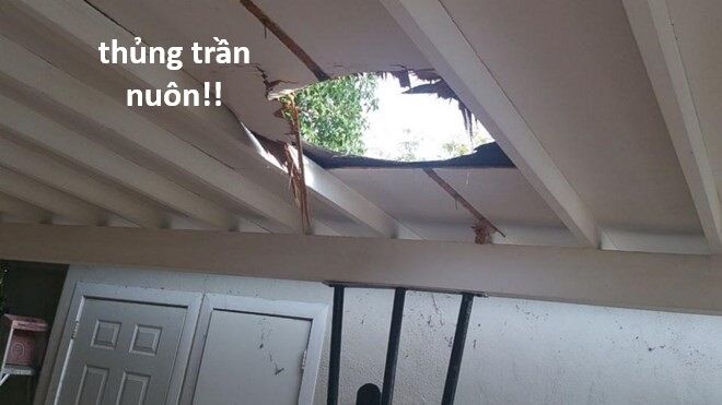 Hổ Đến Chơi Nhà (Puchimasu Miếu): Chapter 120