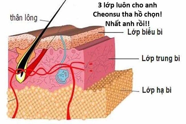 Hổ Đến Chơi Nhà (Puchimasu Miếu): Chapter 121