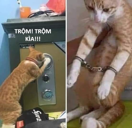 Hổ Đến Chơi Nhà (Puchimasu Miếu): Chapter 123