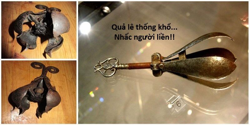 Hổ Đến Chơi Nhà (Puchimasu Miếu): Chapter 127