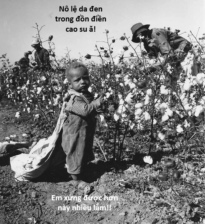 Hổ Đến Chơi Nhà (Puchimasu Miếu): Chapter 127