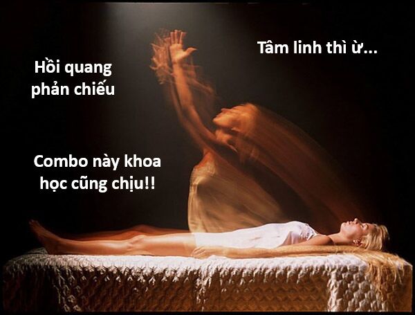 Hổ Đến Chơi Nhà (Puchimasu Miếu): Chapter 132