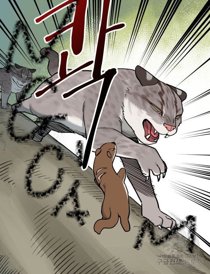 Hổ Đến Chơi Nhà (Puchimasu Miếu): Chapter 132