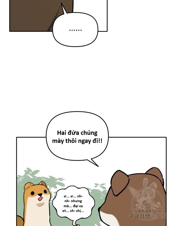 Hổ Đến Chơi Nhà (Puchimasu Miếu): Chapter 132