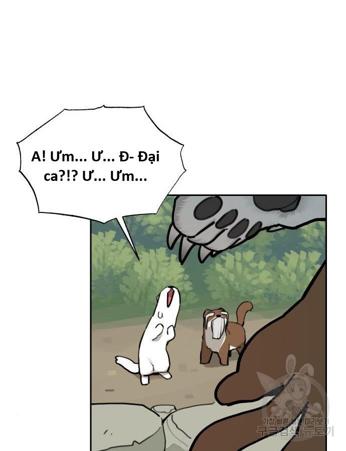 Hổ Đến Chơi Nhà (Puchimasu Miếu): Chapter 132