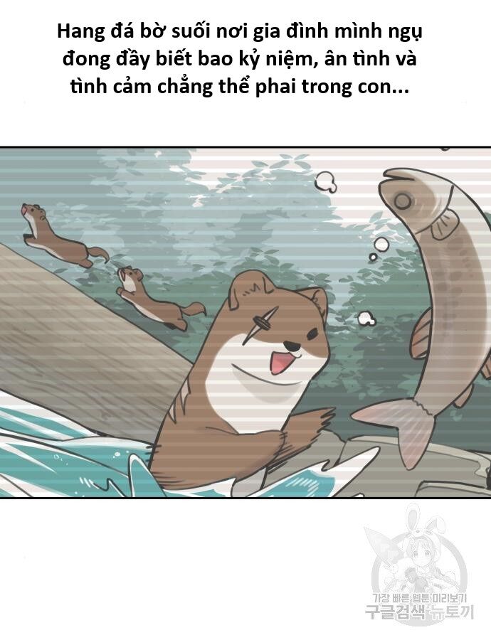 Hổ Đến Chơi Nhà (Puchimasu Miếu): Chapter 132