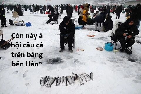 Hổ Đến Chơi Nhà (Puchimasu Miếu): Chapter 135