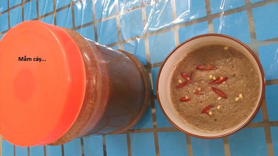 Hổ Đến Chơi Nhà (Puchimasu Miếu): Chapter 138